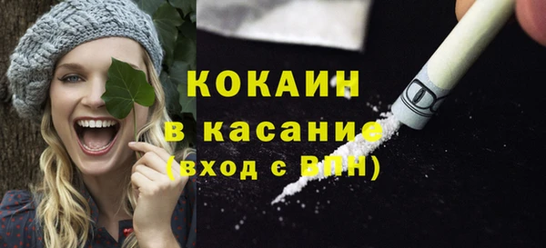 прущие грибы Армянск
