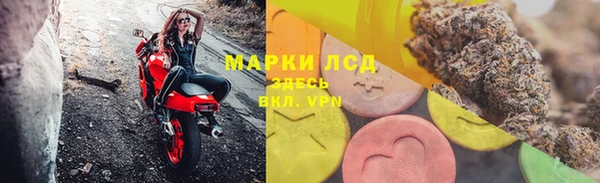 прущие грибы Армянск