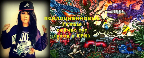 прущие грибы Армянск